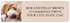 Beagle Address Labels Image 1