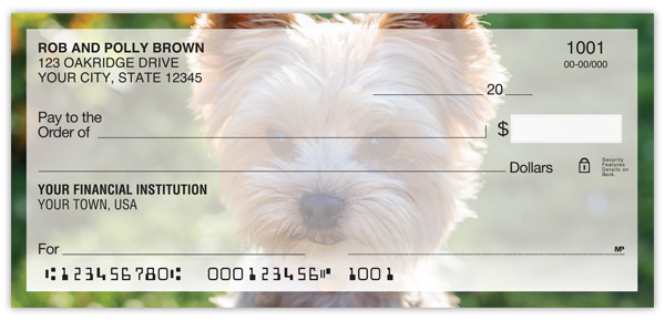 Yorkshire Terrier Checks